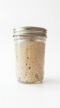 Active Sourdough Starter